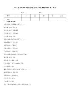 2025年耳鼻喉科鼻窦炎诊断与治疗模拟考核试题答案及解析
