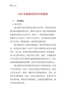 2025年碳素項目可行性報告