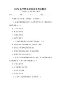 2025年中學化學實驗試題及解析