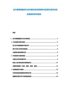 含片葡萄糖酸鈣行業(yè)中國市場深度調(diào)研與投資價值評估及發(fā)展趨勢研究報告