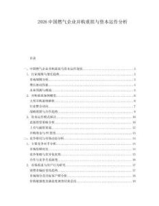 2026中國燃氣企業并購重組與資本運作分析