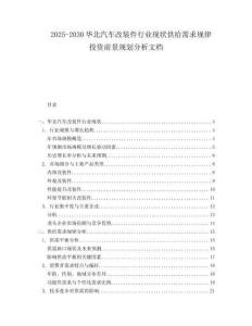 2025-2030華北汽車改裝件行業現狀供給需求規律投資前景規劃分析文檔