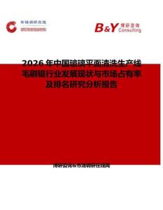 2026年中國玻璃平面清洗生產線毛刷輥行業發展現狀與市場占有率及排名研究分析報告