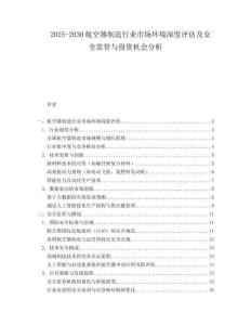 2025-2030航空器制造行業市場環境深度評估及安全監管與投資機會分析