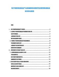 電子商務(wù)物流配送產(chǎn)業(yè)發(fā)展趨勢深度研究及智慧物流配送體系優(yōu)化報告