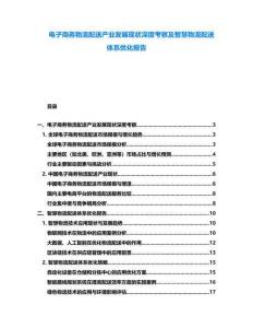 電子商務(wù)物流配送產(chǎn)業(yè)發(fā)展現(xiàn)狀深度考察及智慧物流配送體系優(yōu)化報告