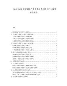 2025-2030航空制造產(chǎn)業(yè)資本運(yùn)作風(fēng)險分析與投資策略調(diào)整