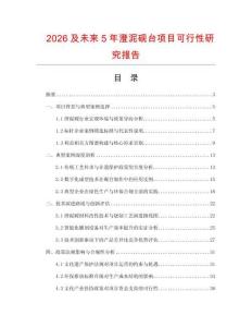 2026及未來5年澄泥硯臺項目可行性研究報告
