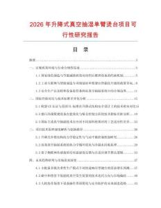 2026年升降式真空抽湿单臂烫台项目可行性研究报告