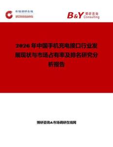 2026年中國手機充電接口行業(yè)發(fā)展現(xiàn)狀與市場占有率及排名研究分析報告