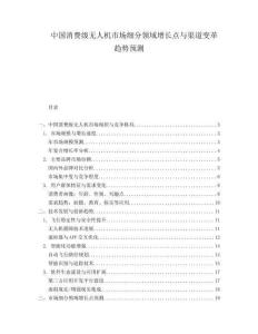 中國消費(fèi)級無人機(jī)市場細(xì)分領(lǐng)域增長點(diǎn)與渠道變革趨勢預(yù)測