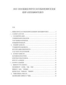 2025-2030能源技術研究行業市場深度調研及發展趨勢與投資戰略研究報告