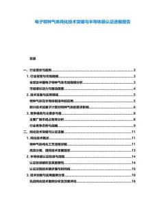電子特種氣體純化技術(shù)突破與半導(dǎo)體級認(rèn)證進(jìn)展報(bào)告