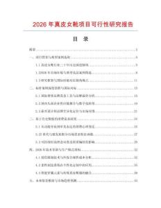 2026年真皮女靴项目可行性研究报告