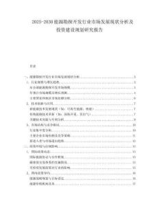 2025-2030能源勘探開發行業市場發展現狀分析及投資建設規劃研究報告