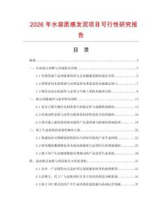 2026年水溶质感发泥项目可行性研究报告