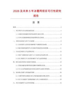 2026及未来5年冰雹网项目可行性研究报告