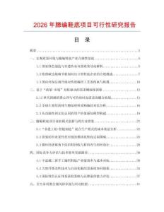 2026年滕编鞋底项目可行性研究报告