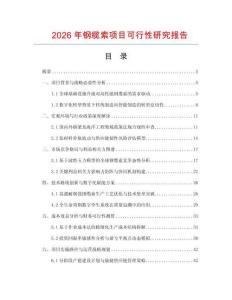2026年鋼纜索項目可行性研究報告