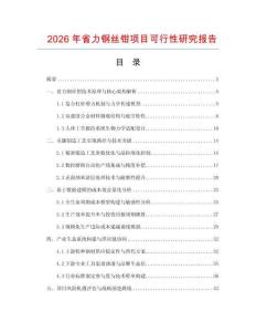 2026年省力鋼絲鉗項目可行性研究報告