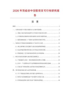 2026年雙組份中空膠項目可行性研究報告