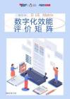 2026年-銀行業數字化效能評價矩陣v1.0-解決方案