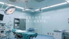骨科常见疾病手术治疗与术后康复指导