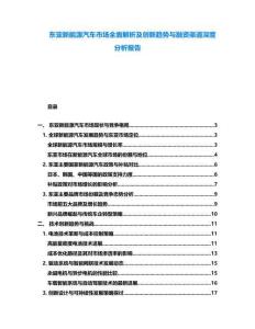 東亞新能源汽車市場全面解析及創(chuàng)新趨勢與融資渠道深度分析報告