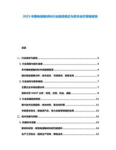 2025中國電接觸材料行業融資模式與資本運作策略報告