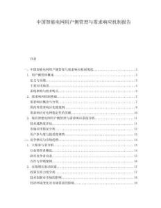 中國智能電網(wǎng)用戶側管理與需求響應機制報告