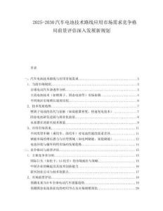 2025-2030汽車電池技術路線應用市場需求競爭格局前景評估深入發(fā)展新規(guī)劃