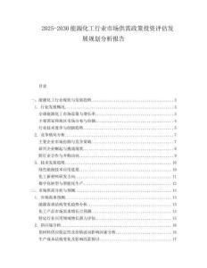 2025-2030能源化工行業市場供需政策投資評估發展規劃分析報告