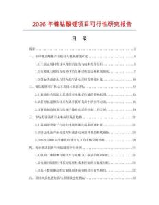 2026年镍钴酸锂项目可行性研究报告