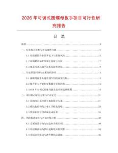 2026年可調式圓螺母扳手項目可行性研究報告