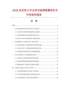 2026及未來(lái)5年頭帶式燒焊面罩項(xiàng)目可行性研究報(bào)告