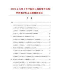 2026及未來5年中國彩頭鋼絲鎖市場現狀數據分析及前景預測報告