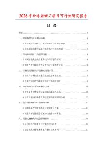 2026年珍珠岩蛭石项目可行性研究报告