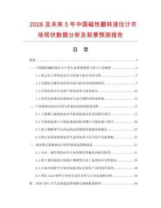 2026及未来5年中国磁性翻转液位计市场现状数据分析及前景预测报告