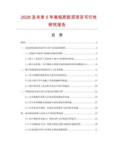 2026及未来5年高铝质胶泥项目可行性研究报告