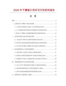 2026年干槽鋸片項目可行性研究報告