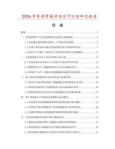 2026年家用彈簧秤項目可行性研究報告