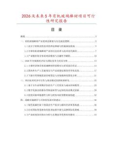 2026及未來5年有機玻璃棒材項目可行性研究報告
