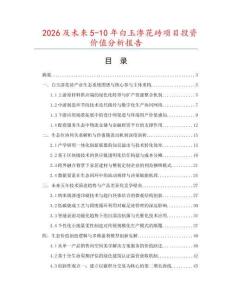 2026及未來5-10年白玉滲花磚項目投資價值分析報告