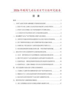 2026年蝶閥氣動(dòng)頭項(xiàng)目可行性研究報(bào)告