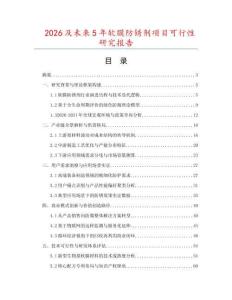 2026及未來5年軟膜防銹劑項目可行性研究報告