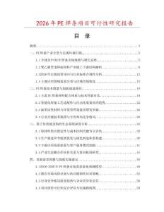 2026年P(guān)E焊條項目可行性研究報告