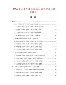 2026及未來5年紗半袖衫項目可行性研究報告