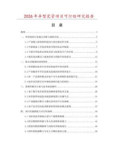 2026年異型瓷管項目可行性研究報告