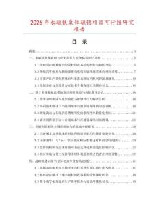 2026年永磁鐵氧體磁锪項目可行性研究報告