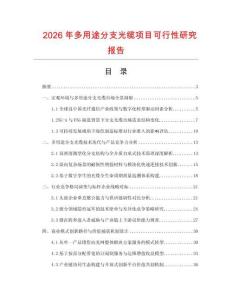 2026年多用途分支光纜項目可行性研究報告